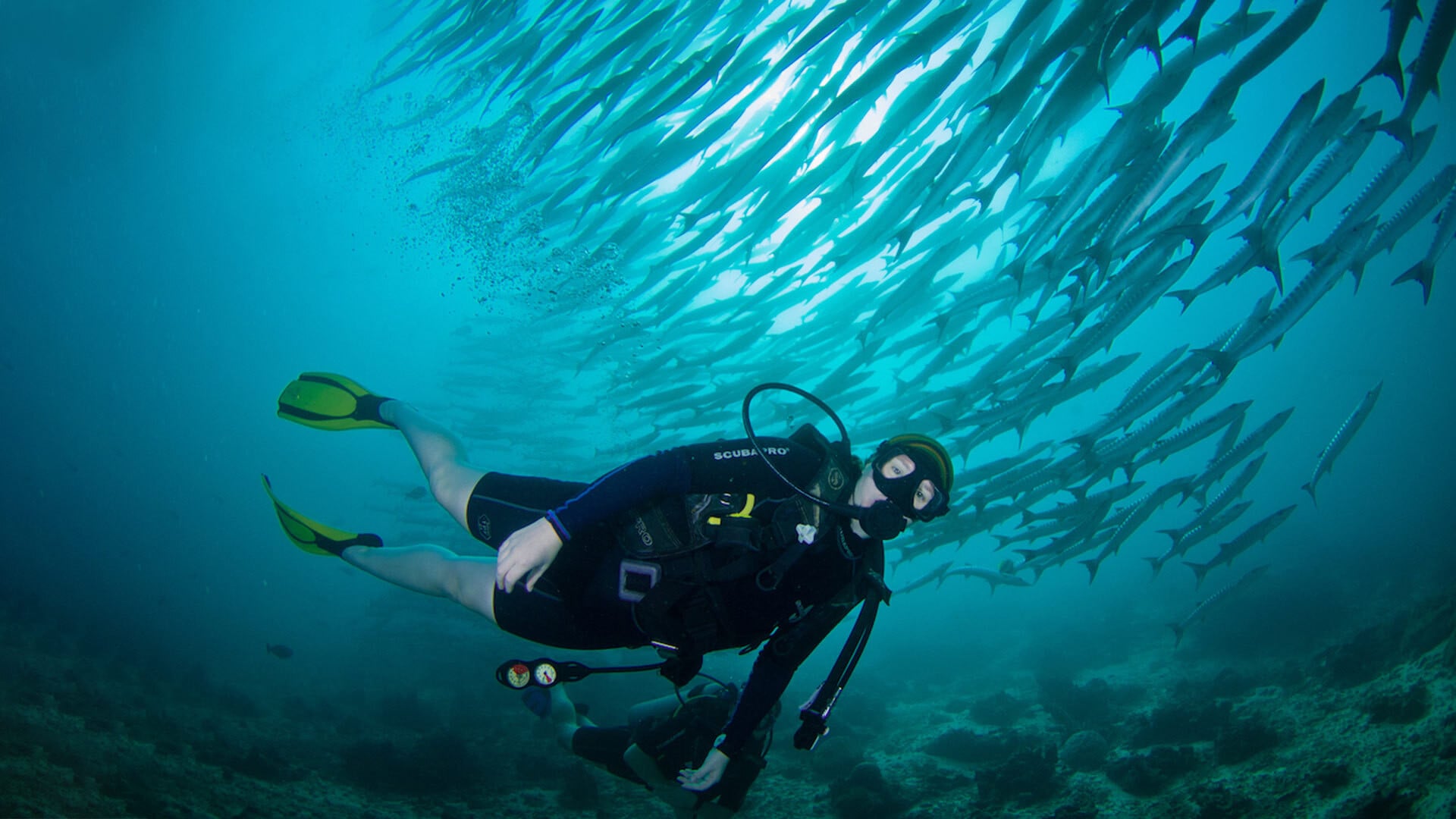 Snorkellers over seagrass beds off Mabul with the stilt village behind
