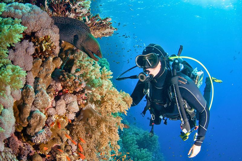 Diver along a crevice-filled reef wall