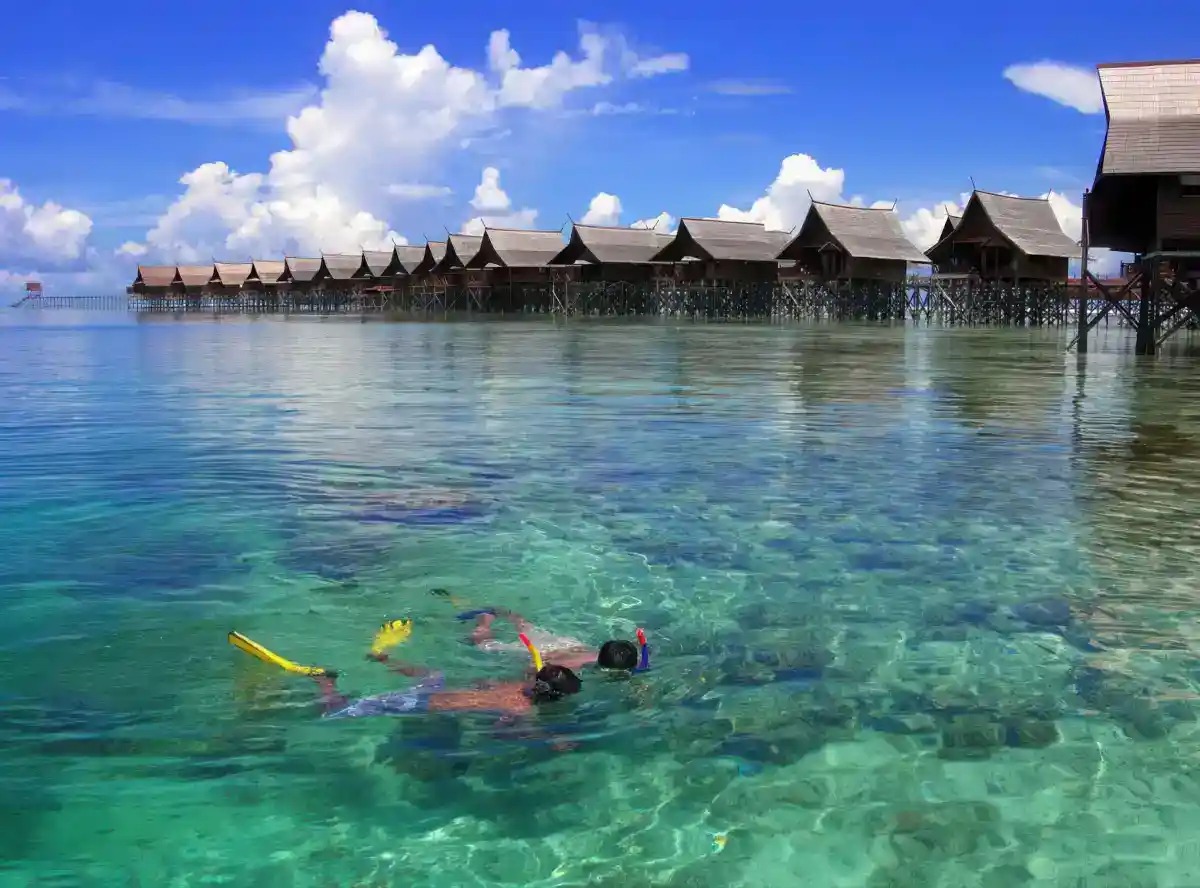 Snorkeller silhouetted above seagrass beds in clear shallow water